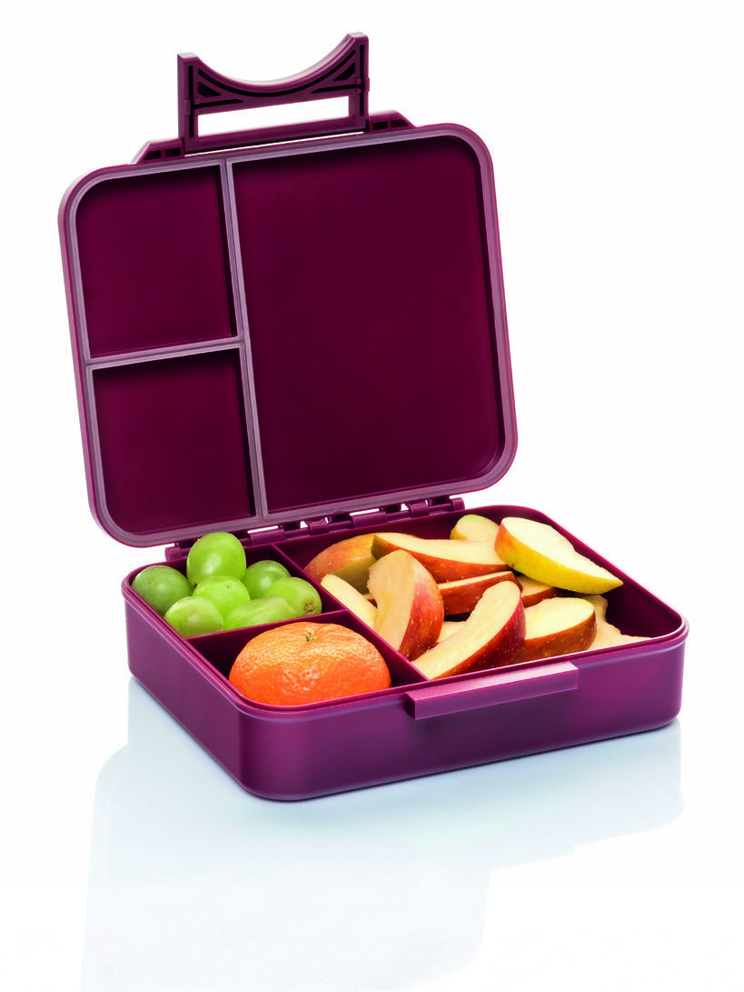 Geöffnete Aufbewahrungsbox